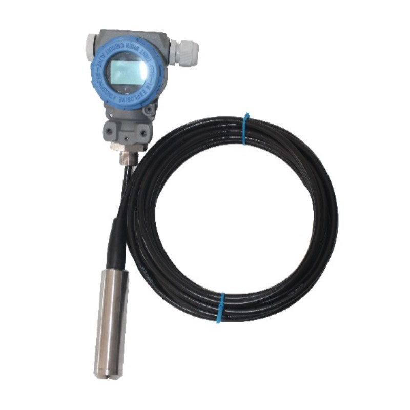Smart Submersible Transmitter