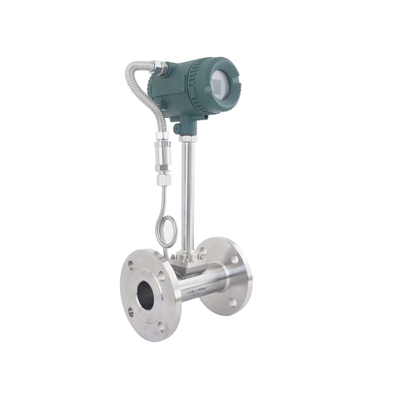 Vortex Flow Meter